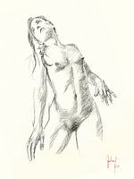 Figuur Studie