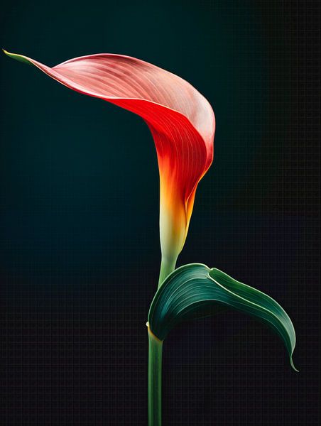 Parrot's Beak Flower Portrait by Virgil Quinn - Decorative Arts