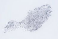 Bomen in een bevroren meer van Martijn Smeets thumbnail