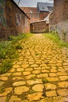 Golden Cobbles in Leuven I