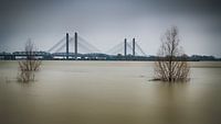 Brücke über den Fluss Waal von Mark Bolijn Miniaturansicht