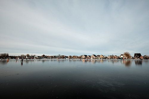 Nieuwkoopse Plassen in winter with ice