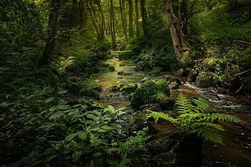 Stream in the Valley of the Orne by Ron Poot