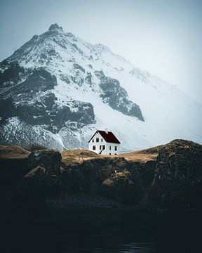 Home van Frederik Opdeweegh