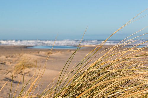Waan je elke dag op het strand