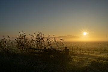Fence meadow fog by Willian Goedhart
