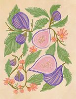 Botanische illustratie van vijgen en bloemen