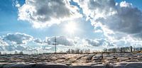 Panorama landschap