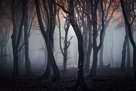 The Lost World by Edwin Mooijaart