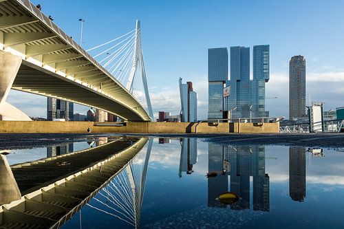 Erasmusbrug Rotterdam