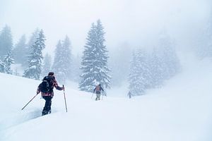 Willkommen in Narnia