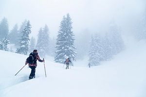 Bienvenue à Narnia sur Hidde Hageman