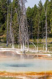 Yellowstone National Park, USA by Jeroen van Deel