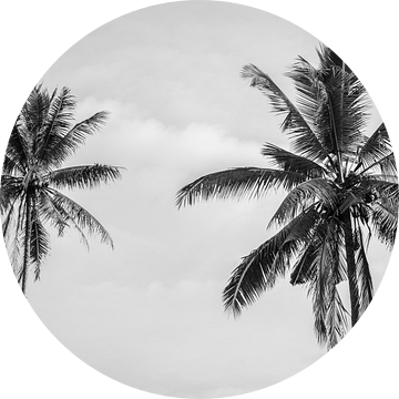 Zwart wit palmbomen op Bali van Ellis Peeters