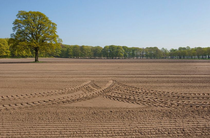 Omgeploegde akker. van Luuk van der Lee
