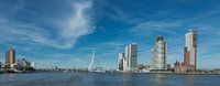Rotterdam Skyline Panorama van Onno Kemperman thumbnail