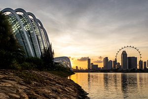 Singapore 's avonds van Jan Schuler