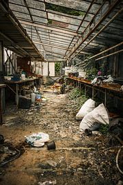 Abandoned greenhouse - decay in the greenery by Infinite Decay