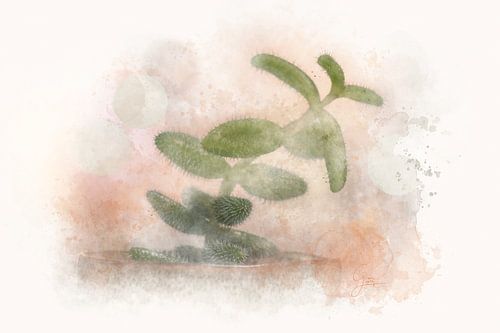 Une petite plante - Photographie & Art