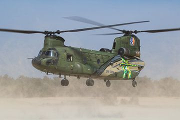 Koninklijke Luchtmacht CH-47 Chinook van Dirk Jan de Ridder - Ridder Aero Media