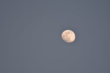 maan bij dageraad van Philipp Klassen