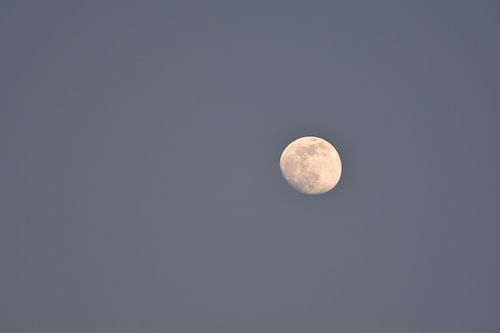 moon at dawn