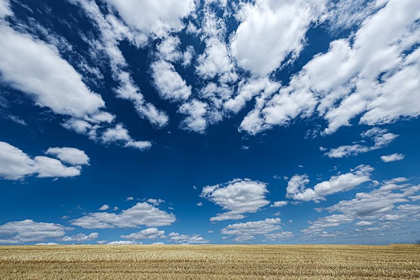 Bourscheid, Luxembourg by Eddy Westdijk