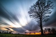 Sunset, long shutter speed, tree.Landscape. by Frank Slaghuis thumbnail