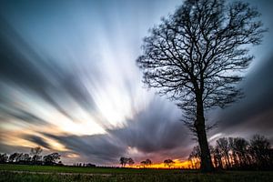 Sonnenuntergang, lange Belichtungszeit, Baum, Landschaft. von Frank Slaghuis