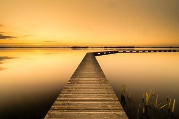 Die Stille und Ruhe der goldenen Stunde am Dannemeer