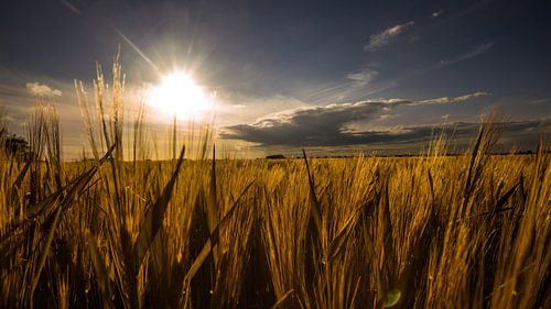 Zonsondergang