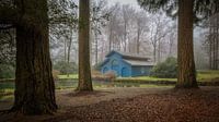 The blue boathouse in the forest by Moetwil en van Dijk - Fotografie thumbnail