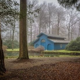 Het blauwe boothuis in het bos van Moetwil en van Dijk - Fotografie