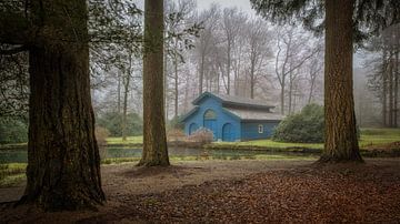 Het blauwe boothuis in het bos
