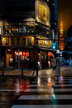 Evening rain at an intersection in Tokyo by Marco Leeggangers