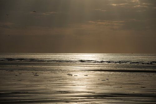 Zonsondergang De Panne