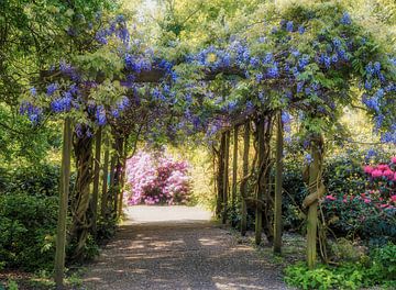 De blauwe poort van Odette Kleeblatt