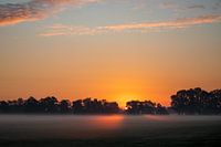 Zonsopkomst boven de weilanden