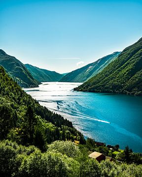 Fjorden van Noorwegen van Joris Machholz