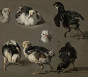 Seven chicks - Melchior d'Hondecoeter