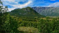 Image d'automne des montagnes. Étonnante nature scandinave.