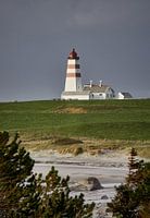 Herrlicher Strandtag in Alnes