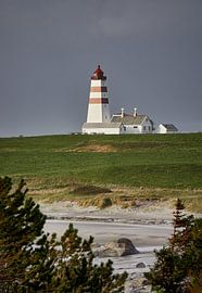 Glorious beach day at Alnes by qtx