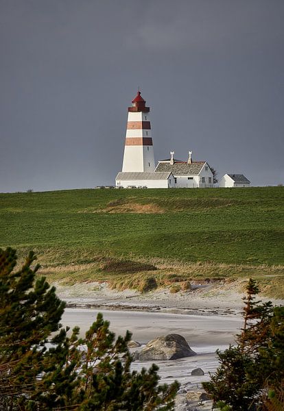 Herrlicher Strandtag in Alnes von qtx