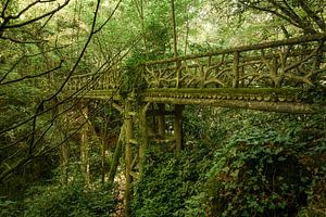 Fußgängerbrücke botanisch. Frankreich.