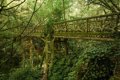 Botanische loopbrug. Frankrijk.