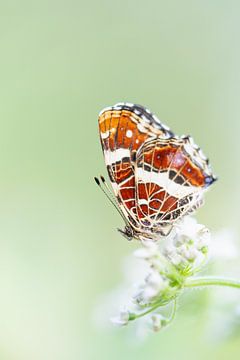 Landmark by Ronald Buitendijk Fotografie