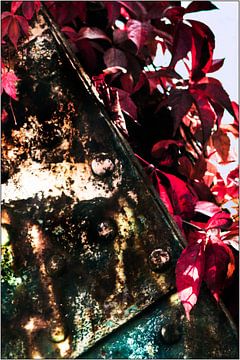 Autumn by ARTDesign-Fotografie