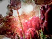 Strange tulips van Freddy Hoevers thumbnail