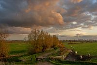 Gelderseaarde im späten Abendlicht